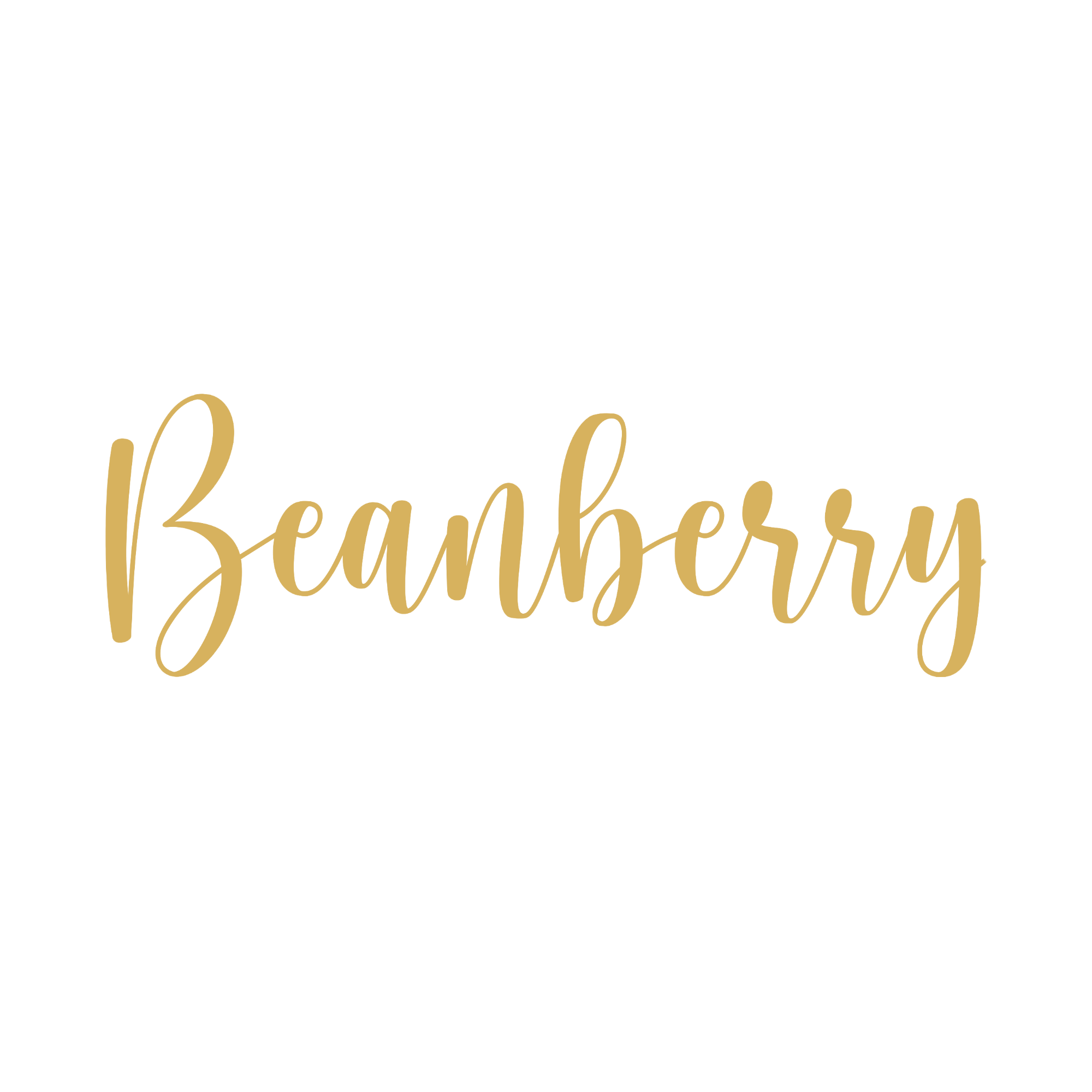 Beanberry